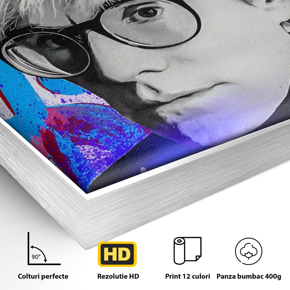 Detaliu al suprafetei: tablou canvas cu portretul lui andy warhol, in rama de aluminiu argintiu